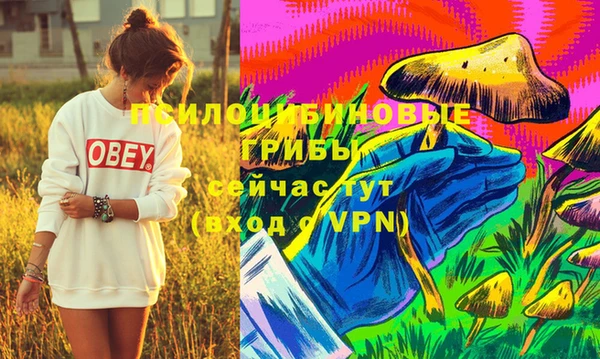 МДМА Кодинск