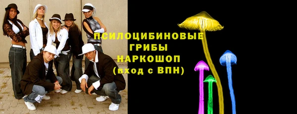спайс Алексин