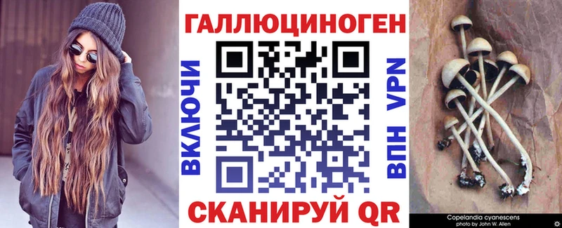 купить наркотики сайты  Гвардейск  Псилоцибиновые грибы Psilocybe 