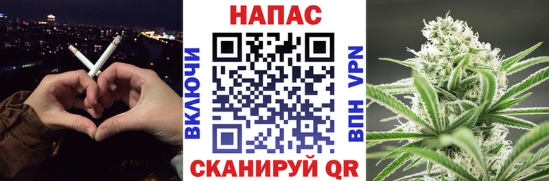 Бошки Шишки сатива  Гвардейск 